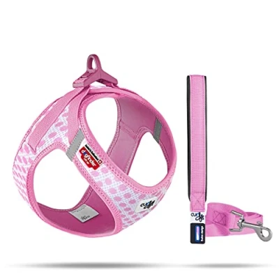 Afbeelding van Vest Harnas Curli Sluiting Air Mesh Roze Circles M &amp; Lijn L