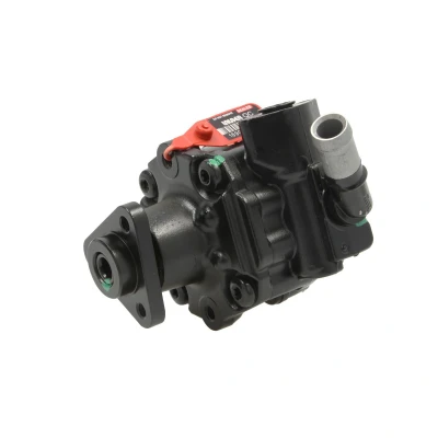 Afbeelding van Lauber Servopomp 55.4284
