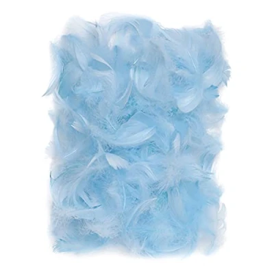 Afbeelding van Netuno 150 blauwe decoratieve vogel veren 10g natuur voor DIY Craft pasen kerstmis figuur maskers bruiloftsfeesten