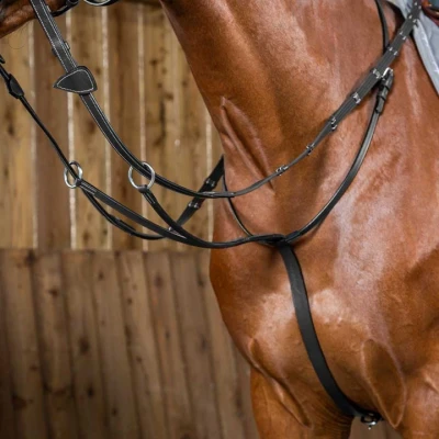 Afbeelding van Dy&#039;on Martingaal Working Collection Zwart