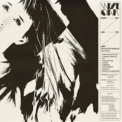 Afbeelding van Wye Oak Every Day Like the Last (LP)