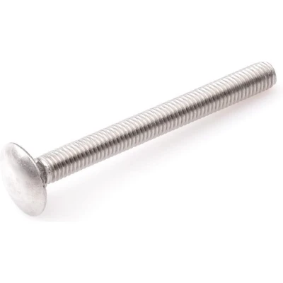 Afbeelding van Intergard Slotbout RVS DIN 603 M6x60mm