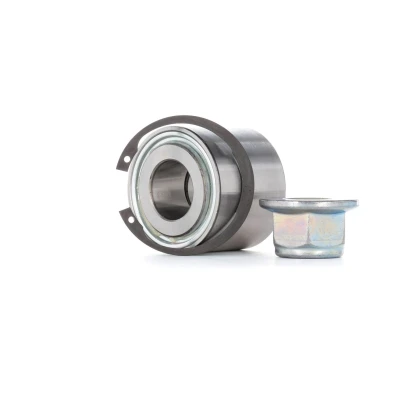 Afbeelding van Skf Wiellagerset VKBA 976