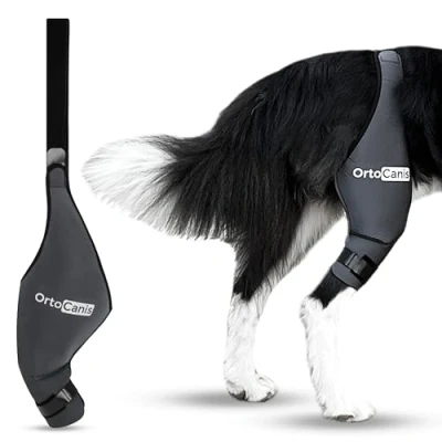 Afbeelding van Ortocanis Kniebrace voor honden met kruisbandblessures, patelladislocatie of artrose, X Mini, rechterbeen