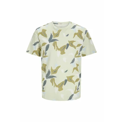 Afbeelding van Jack &amp; Jones Tshirt print, Heren, Maat: Large, Celadon tint