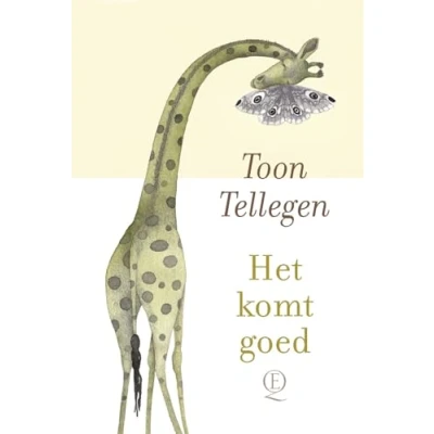 Afbeelding van Het komt goed (Hardback)