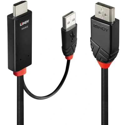 Afbeelding van Lindy 41498 video kabel adapter 1 m HDMI + USB Type A DisplayPort Zwart