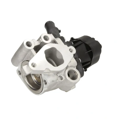 Afbeelding van Delphi Diesel EGR klep EG10482 12B1