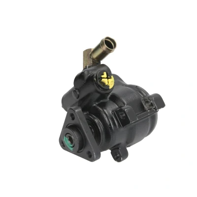 Afbeelding van Lauber Servopomp 55.0217