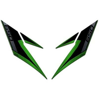 Afbeelding van Resin Bike Motorsticker Compatibel met Kawasaki Versys 650 2017 2020. Voorkantbeschermingen Tegen Stoten en Krassen. 3D Hars Sticker Motor Gadgets Made in Italy
