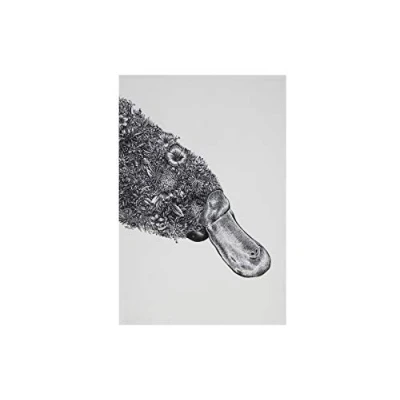 Afbeelding van Maxwell &amp; Williams Marini Ferlazzo Theedoek met Vogelbekdier, 100% Katoenen Keukendoek, Wit, 50 x 70 Centimeter