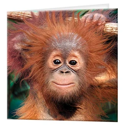 Afbeelding van 3D LiveLife wenskaart Baby orang oetan van Deluxebase. Kleurrijke aap kaart voor elke gelegenheid en leeftijd. Origineel kunstwerk onder licentie de bekende kunstenaar David Penfound
