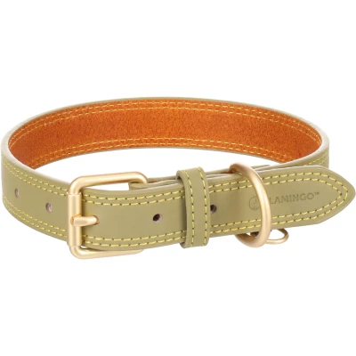 Afbeelding van Flamingo Hondenhalsband Virginia groen M/L 38 48 cm 25 mm met een ring voor identificatielabel genaaid hogere sterkte