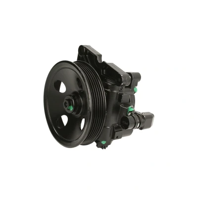 Afbeelding van Lauber Servopomp 55.2903