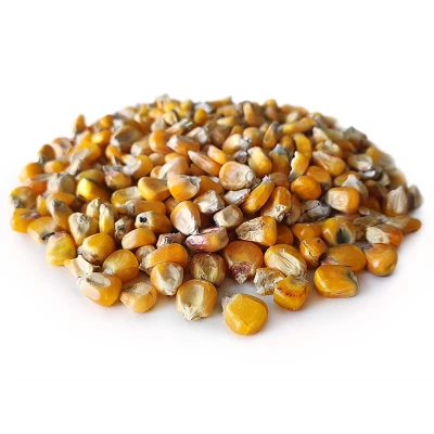 Afbeelding van Gele Maïs Karper 2,5KG
