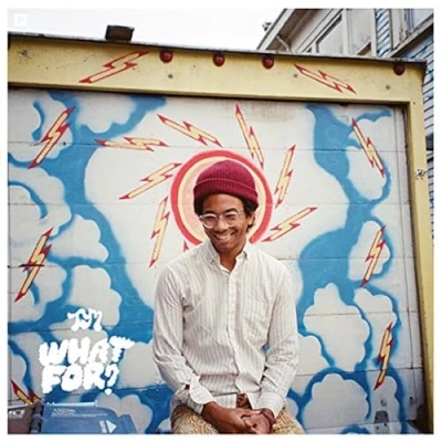 Afbeelding van Toro Y Moi What For