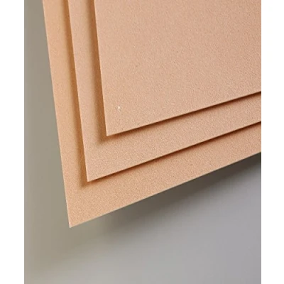 Afbeelding van Clairefontaine Ref 197014C Pastelmat Kaartvellen (Pack van 5 vellen) 360gsm kaart 24 x 32cm Sienna Kleur Speciaal samengesteld voor gebruik met Pastels