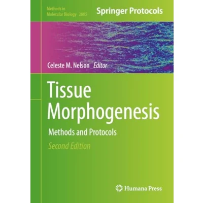 Afbeelding van Tissue Morphogenesis: Methods and Protocols: 2805