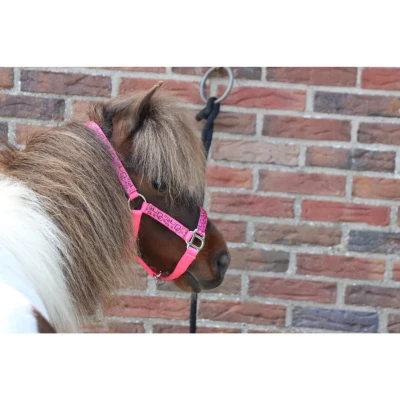 Afbeelding van MHS Halster &quot;Neon Squares&quot; Extra Full Roze