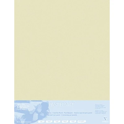 Afbeelding van Clairefontaine 396015C tekenbladen (verpakking met 5 vellen pastelmat op karton gelamineerd, 1800 µm, 70 x 100 cm, ideaal voor droogtechnieken en pastel) zand