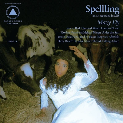 Afbeelding van Spellling Mazy Fly (LP)