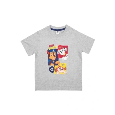 Afbeelding van Paw Patrol T shirt voor jongens, Chase, Marshall &amp; Rubble, kindershirt, korte mouwen, grijs, 98 104