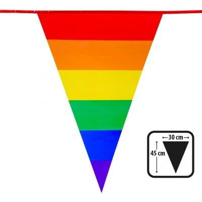 Afbeelding van Boland PE vlaggenlijn 8m Regenboog Universeel Thema Vlaggenlijnen