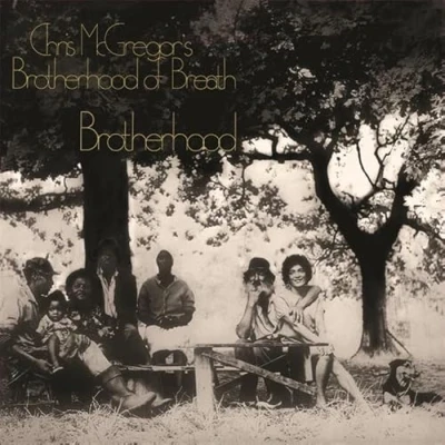 Afbeelding van Chris McGregor&#039;s Brotherhood Of Breath (LP) (Coloured Vinyl)