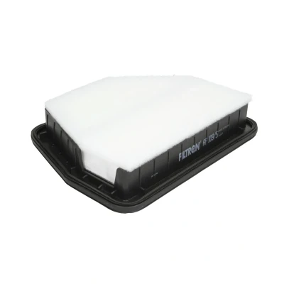 Afbeelding van Filtron Luchtfilter AP 109/5