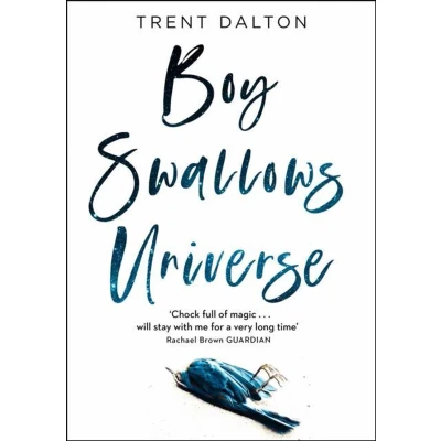 Afbeelding van Boy Swallows Universe