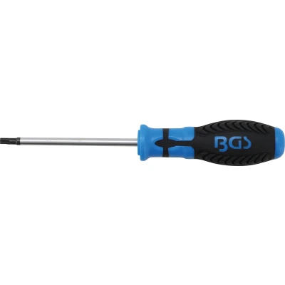 Afbeelding van BGS Schroevendraaier Torx T27 x 100 mm