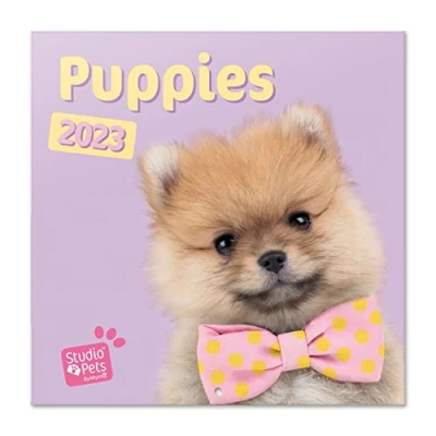 Afbeelding van Grupo Erik CP23059 Kalender 2023 Studio Pets Puppies wandkalender 12 maanden Broschürenkalender 30x30 cm Fsc gecertificeerde +Bonus 4