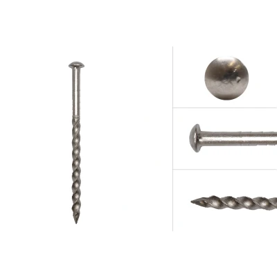 Afbeelding van Bolkop schroefnagels RVS 3.2 x 55 mm 500 gram