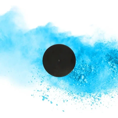 Afbeelding van Gender Reveal Hockeypuck Blauw en Roze Geslachtsonthulling Bekend making geslacht