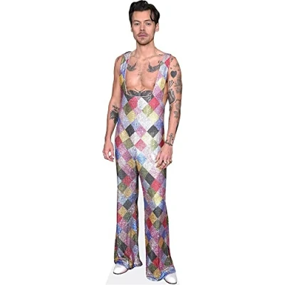 Afbeelding van Harry E. Styles (Colourful) Mini Knipsel