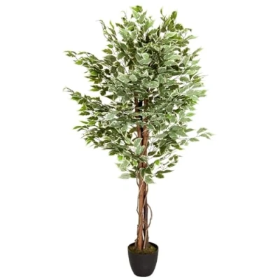 Afbeelding van hjh OFFICE Kunstplant FICUS Benjamini hoogte 165 cm groen/wit 1008 vellen decoratie kamerplant berkenvijg kunstlijk, 871000
