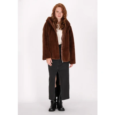 Afbeelding van Jas DREIMASTER XS / Bruin 100% Polyester