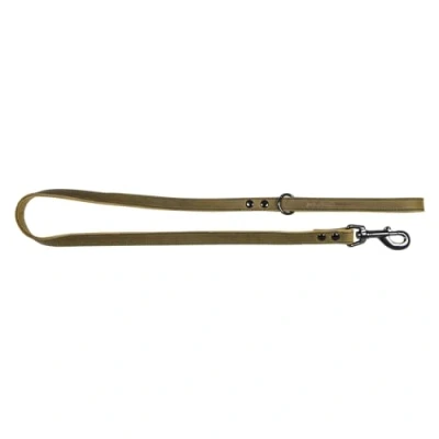 Afbeelding van Jack And Vanilla Leibanden Black Label Leiband Groen 16mmx100cm 46/7263 177964