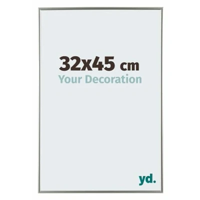 Afbeelding van Fotolijst 32x45cm Champagne Kunststof Evry