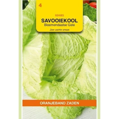 Afbeelding van Savooiekool Bloemendaalse gele