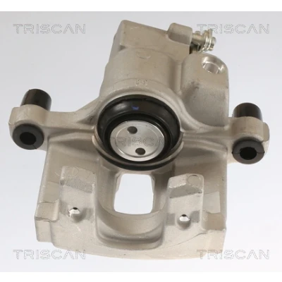 Afbeelding van Triscan EGR klep 8813 25201