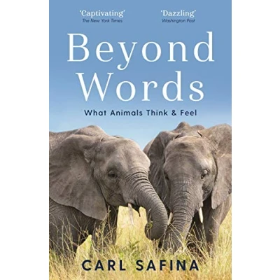 Afbeelding van Beyond Words: What Animals Think and Feel