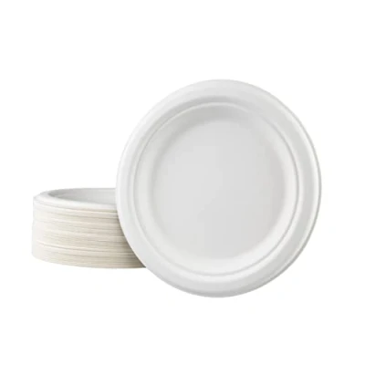 Afbeelding van Love Nature Ecologisch wegwerpborden set 17,5 cm 50 stuks wegwerpservies van suikerrietmark biologisch afbreekbaar partyborden wegwerp