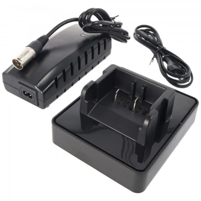 Afbeelding van Snellader 4A Derby Cycle Li Ion voor 25 26V Panasonic e bike accu&#039;s vanaf modeljaar 2012