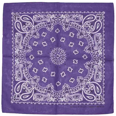 Afbeelding van Zac&#039;s Alter Ego Alternative paisley Bandana Paars