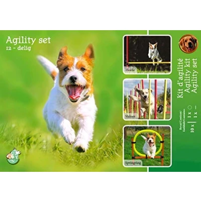 Afbeelding van agility set 6x stok 1x springring en horde.