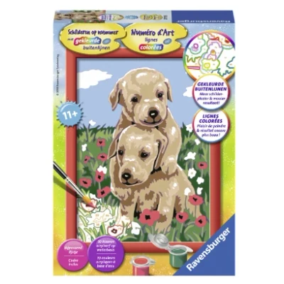 Afbeelding van Ravensburger Schilder Op Nummer Knuffelende Puppies