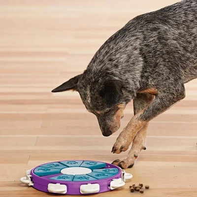 Afbeelding van Nina Ottosson Hondenpuzzel Dog Twister