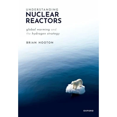 Afbeelding van Understanding Nuclear Reactors