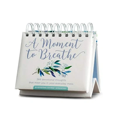 Afbeelding van DaySpring A Moment To Breathe: 366 gedachten die je in dagelijkse chaos ontmoet: an Inspirational DayBrightener Eeuwige kalender, 3,8 x 14 cm (90857)